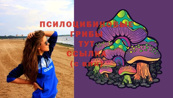 молекула духа Покачи