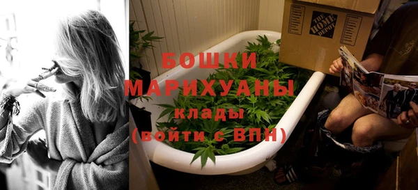 молекула духа Покачи