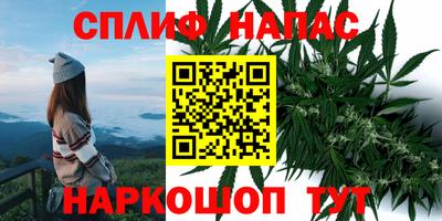молекула духа Ярцево