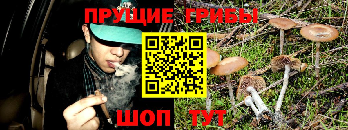 Азнакаево  Псилоцибиновые грибы MAGIC MUSHROOMS  Псилоцибиновые грибы прущие грибы  Вход с VPN 
